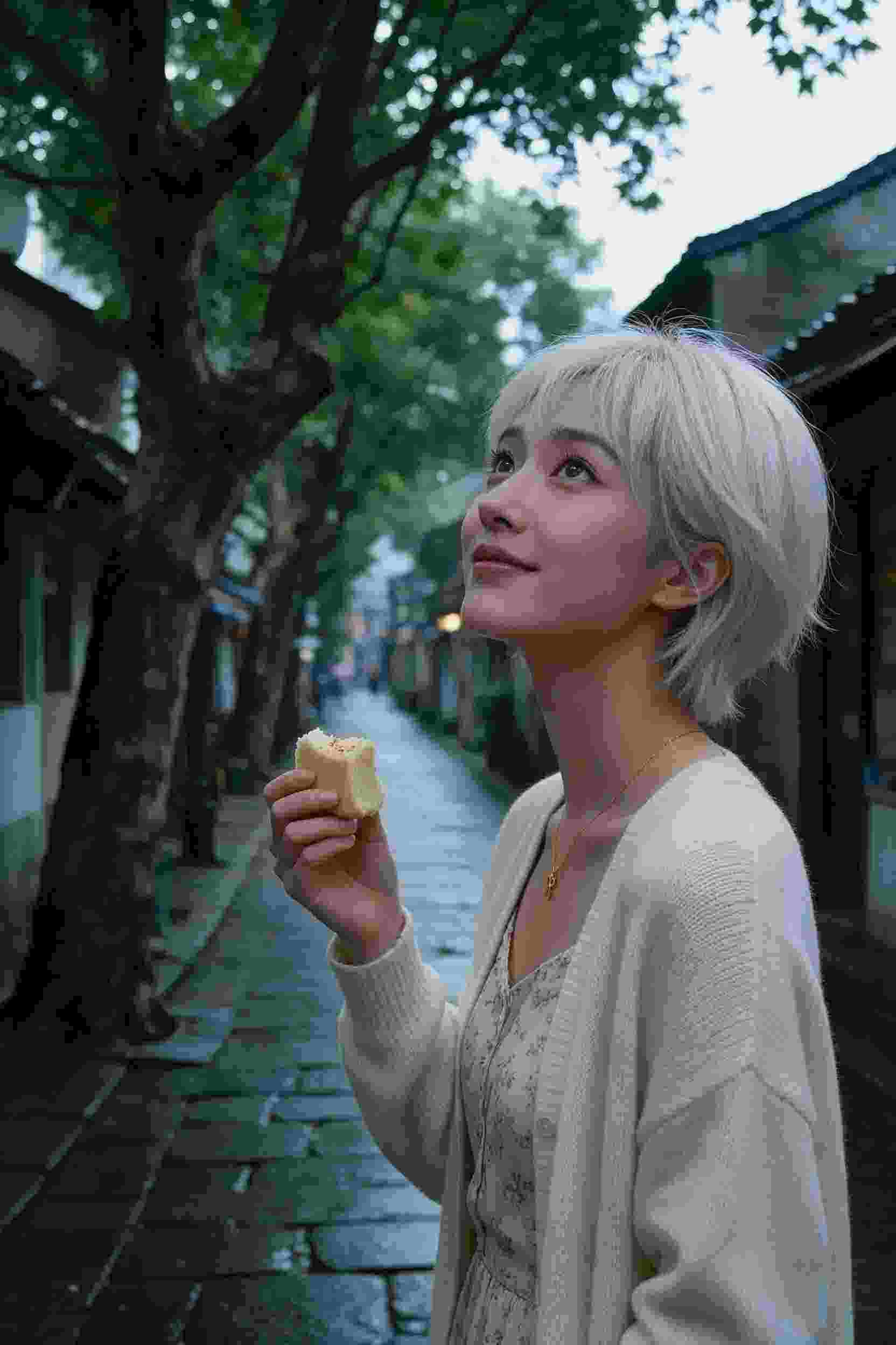仙路迷踪